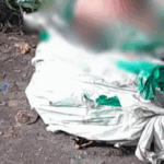 Recém-nascido é encontrado morto em sacos plásticos às margens da BR-222, em Vitória do Mearim