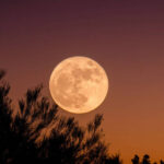 “Lua do Veado” ilumina o céu do Brasil nesta quinta-feira (10)