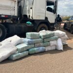 PRF faz apreensão histórica de quase 1 tonelada de skunk no Maranhão