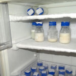 Banco de Leite do HU-UFMA enfrenta baixo estoque e reforça campanha por doações em São Luís