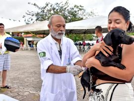 FOTO-1-Sao-Luis-realiza-Campanha-de-Vacinacao-Antirrabica-em-novembro-com-meta-de-imunizar-mais-de-100-mil-caes-e-gatos