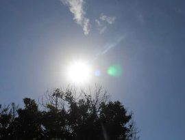 Tempo-1.jpg-1-800x490