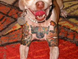 tatuagem